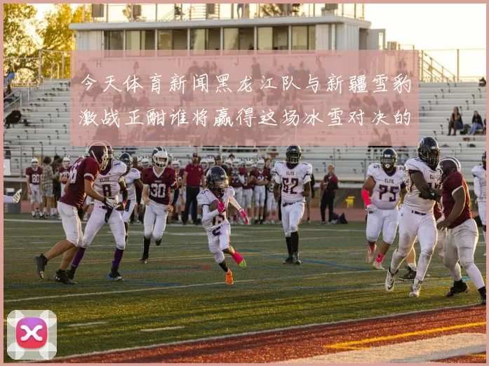今天体育新闻黑龙江队与新疆雪豹激战正酣谁将赢得这场冰雪对决的荣耀